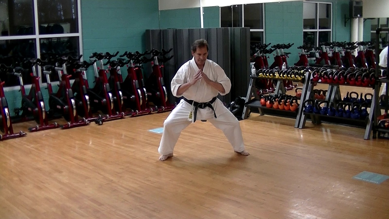 Goju Ryu karate kata practice